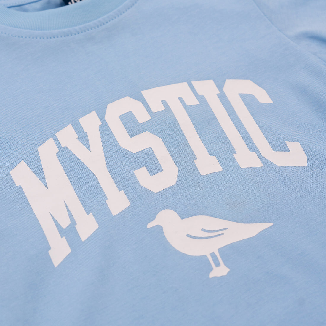 Mystic Toddler Unisex Tee in Light Blue